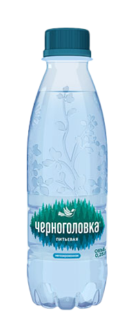 Вода Черноголовка 0.25 литра газированная (ПЭТ)