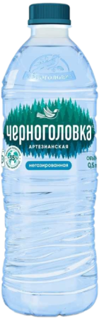 Вода Черноголовка 0.5 литра негазированная