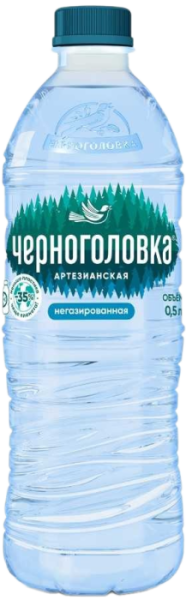 Вода Черноголовка 0.5 литра негазированная